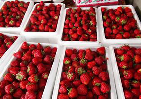 武汉泡沫保温箱 武汉泡沫保温箱